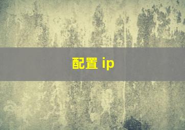 配置 ip